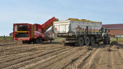 Wanneer de afzet van friet groeit, kan ook de primaire sector uitbreiden.