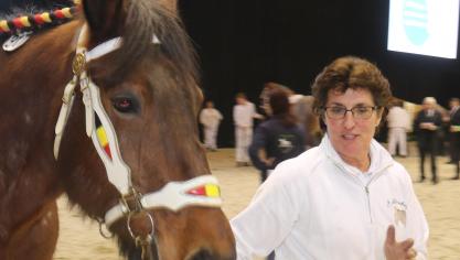 Trotteur van het jaar