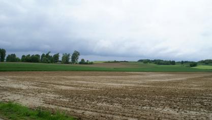 De prijs van pachtgrond steeg met zowat 70% in 20 jaar tijd.