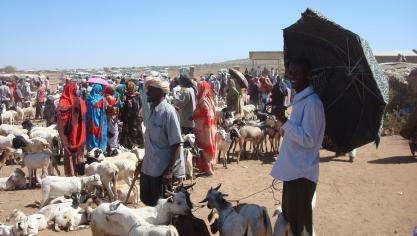 171303_500457414826_1136359_o