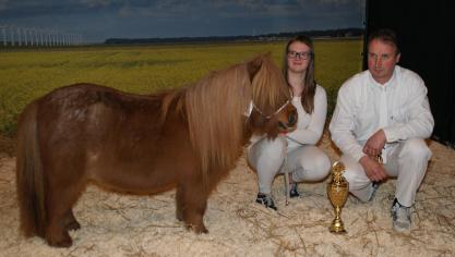 Celientje van her Hagenhof, 11 jaar, vosschimmel, trad op in de moeilijkste reeks.