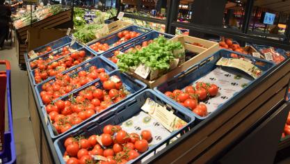 Frutova brengt verkopers en eindklanten rechtstreeks met elkaar in contact om zo de overstocks en overproductie weg te werken