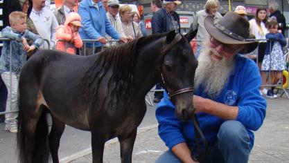 Patrick Ottoy  met zijn hengst Tartufo van den Haze die dagkampioen werd in Torhout.