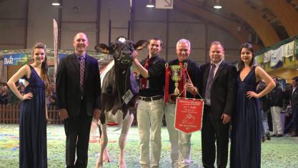 Tijdens de Nacht van de Holsteins in 2017 behaalde Lasid de Bois Segneur, afstammelinge van Comestar Laurie Sheik, de titel van grote kampioene. Ze heeft op dit ogenblik drie dochters in het bedrijf van Eddy en Jonas Pussemier.