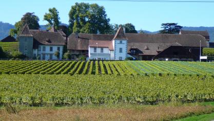 De Zwitserse biologische sector is de laatste jaren snel gegroeid.