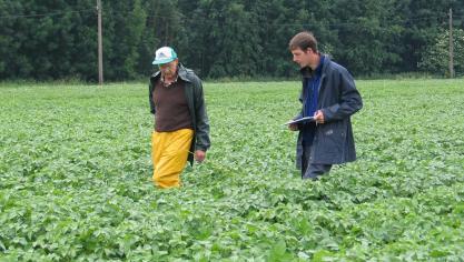 Als een keurmeester twijfelt, dan brengt die de plant binnen in het diagnosecentrum van het ILVO.