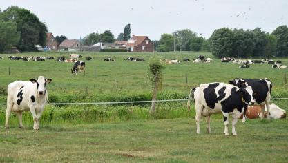 Colruyt zet in op langetermijncontracten.