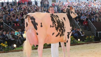 Ludovic Feys bij de voorstelling van Hay River, waarmee hij de 5 de  plaats behaalde op de laatste Europese Confrontatie in het Franse Colmar. Dat was het tweede beste Belgische resultaat ooit.