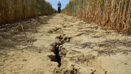 In de wandelgangen klinkt volgens Boelens dat de private sector zelf niet staat te springen om boeren te beschermen tegen klimatologische problemen.