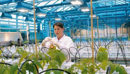 Bayer is sinds de overname van Monsanto de grootste producent van zaden en gewasbeschermingsmiddelen wereldwijd.