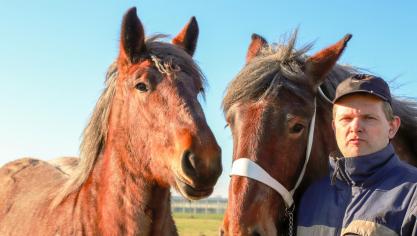 Zoon Paul Jansen met twee van de zeven trekpaarden van ‘Stal de Grens’ uit Meerle.