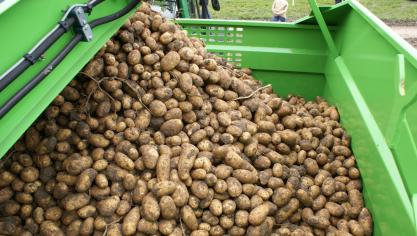 Volgens Belgapom komt een deel van de telers contracten 2018/2019 niet na.