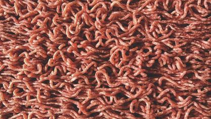 minced-meat-3782228_960_720