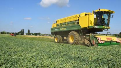 Greenyard behoort tot de grootste groenteverwerkers wereldwijd.