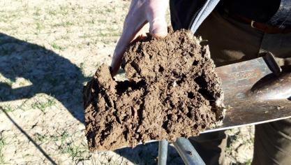 Beoordeling van de structuur van de bovenste bodemlaag door een kennispendelaar.  Naast een beoordeling van de structuur en beworteling wordt ook het bodemleven –  de aanwezigheid van regenwormen en schimmels – in deze laag gescoord.