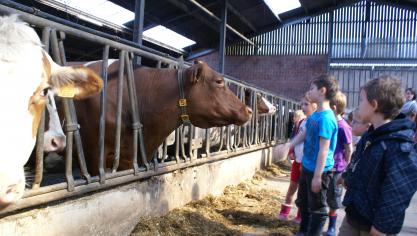 Hou kinderen tijdens een rondleiding en tijdens de vrije tijd goed in het oog en  hou ze in groep.
