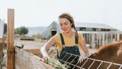 agriculture-animal-beautiful-1509344