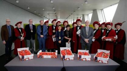 Traditioneel schenken de Ghesellen van de Aardbei de eerste lichting aardbeien aan de Antwerpse deputatie.