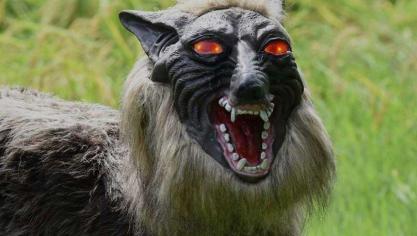 De ‘Super Monster Wolf’ robot houdt everzwijnen van Japanse akkers weg.