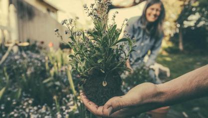 Vanaf 1 april betaal je ook bij de tuinaannemers slechts 6
% btw bij aankoop van bloemen, bomen, heesters en planten.