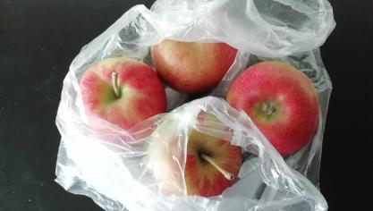 IMG_20190402_144428_resized_20190402_024710571