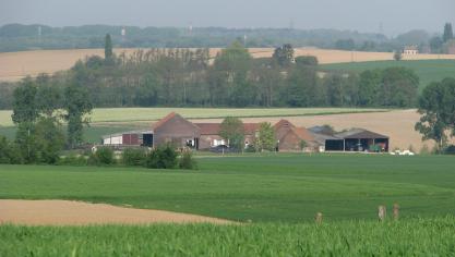 Het gemiddelde landbouwbedrijf in Wallonië is met 57,3 hectare tweemaal zo groot dan dat in Vlaanderen (26,4 hectare).