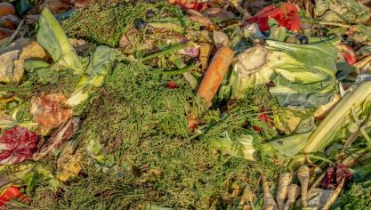 In Vlaanderen verliezen we jaarlijks gemiddeld zo’n 907.000 ton perfect eetbaar voedsel. Voldoende reden voor foodWIN om organisaties die straffe acties ondernemen tegen voedselverspilling in de bloemetjes te zetten.