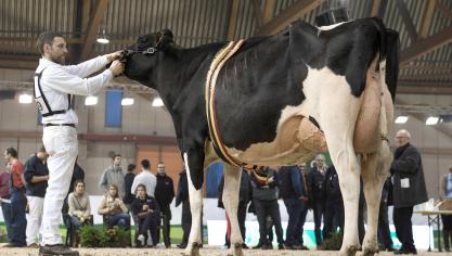 Jean-Louis Neuville behaalde een nationale kampioenstitel op Agribex met Danica de Hautmont Hill.