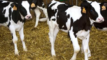 Door gebruik te maken van het abortusprotocol kunt u verdere schade op uw bedrijf vermijden.