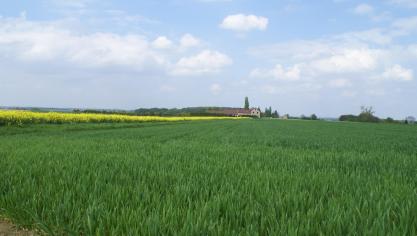 De wereldwijde graanoogst voldoet niet aan het verbruik dit jaar.