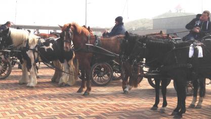 Voor de strandwandeling van de Schipdonkmenners was er weer grote opkomst.