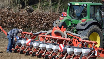 Het aantal bietentelers is al geruime tijd in vrije val. In 2018 waren ze nog met 7.044 tegenover 7.414 in 2016.