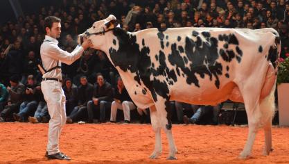 Het dak ging er af bij de Belgische overwinning van Talentueuse de Grandcourt (v. Goldday) van Guy en Florence Jonette en Claire Bouvy.