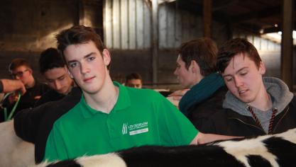 Diverse leerlingen van LTI Oedelem dongen in 2018 mee naar prijzen.