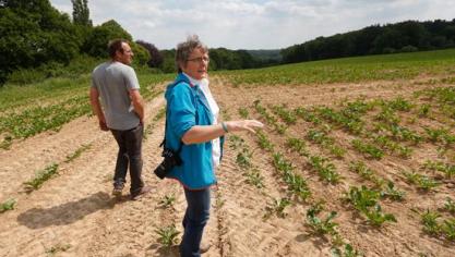 Annie Demeyere:  Mijn ervaring is dat er bij demobezoeken veel interactie is met het publiek en er goede discussies plaatsvinden.