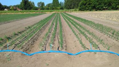 Aan de ene kant bestaan er leidingen van soepel plastiek, maar aan andere kant kan je opteren voor de stijvere darmen die gericht zijn op meerjarig gebruik.
