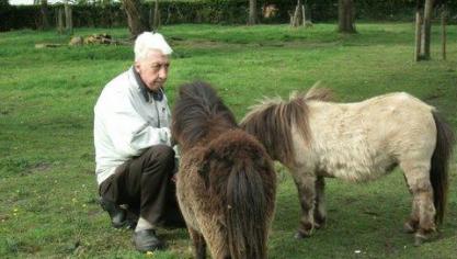 Shetlandfokker Gilbert Claes te midden van zijn lievelingpony’s Loesje en  Maartje van de Meerheuvel.