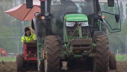 De Antwerpse gemeente Schelle begon op 2 mei met het aanplanten van 2 ha olifantengras in de strijd tegen de klimaatverandering.