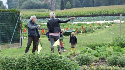 Binnen het CSA-concept zijn landbouwers directer betrokken bij de landbouw.