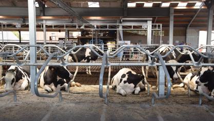 Seizoensmatig dalen de melkprijzen in het begin van het jaar tot het laagste niveau in april/mei (als de melkproductie piekt).