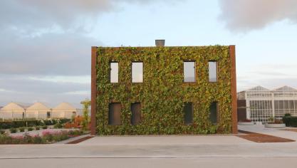 Het Proefcentrum voor Sierteelt krijgt een subsidie van 128.000 euro voor initiatieven die inzetten op het verhogen van de duurzaamheid .