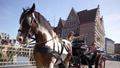 De gemeente Gent wil paarden uit de binnenstad weren.