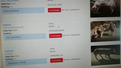 Tijdens de online veiling kan je het verloop ervan volledig volgen vanop je pc.
