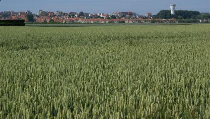 In 2018 werd 68
% van het West-Vlaamse oppervlak gebruikt voor de landbouw.