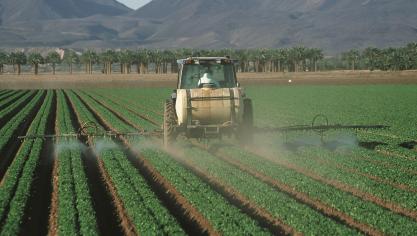 Frankrijk gaat alle gewasbeschermingsmiddelen op basis van de stof epoxiconazool van de markt halen.