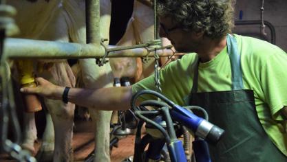 Ontsmettingsmiddelen voor dierlijk gebruik zoals tepeldipmiddelen en tepelsprays voor het melken vallen ook onder de biocidenwetgeving.