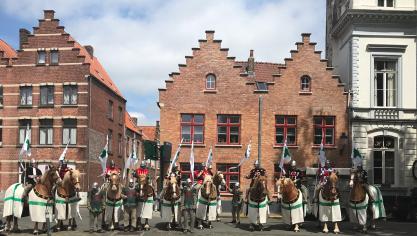 Elf Vlaamse paarden en ridders zorgden opnieuw voor een indrukwekkende groep.