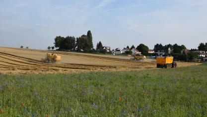 Op 28 juni 2019 werden een aantal betalingen aan de Vlaamse landbouwers uitgevoerd.