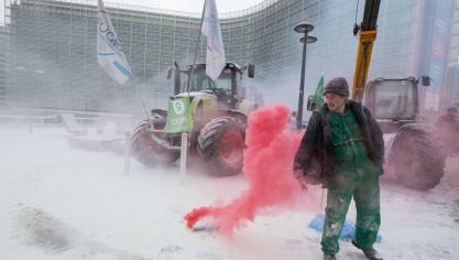 Landbouwers in de EU demonstreren regelmatig voor betere prijzen, maar krijgen wat de OESO betreft momenteel teveel steun.