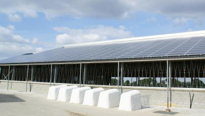 Vlaams minister van Energie Lydia Peeters investeert 133.000 euro in het Noordwest Europees Interreg project ECCO. Het platteland en bij uitstek de landbouwers hebben heel wat potentieel om hernieuwbare energie te produceren.